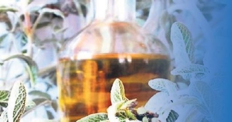 Erkek beynine mate kadınlara ise adaçayı