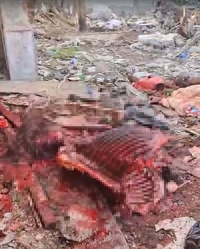 İzmir’de at kesimine suçüstü