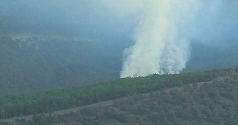 İzmir’de düşen yıldırım ormanı yaktı