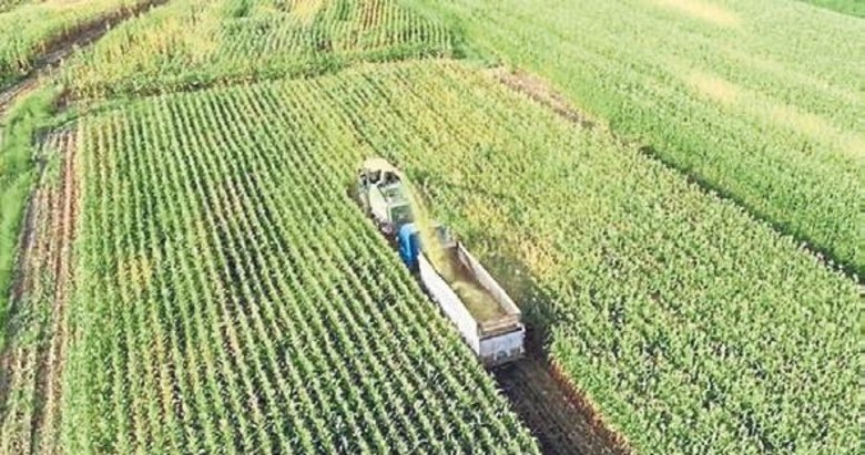 Aydınlı üreticiye 388 milyon TL destek