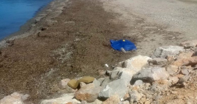 Balıkesir’de cinayet: Oğlunu satırla keserek öldürdü