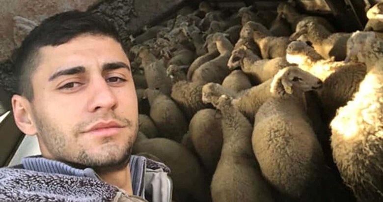 Yüksek kar vaadiyle hayvan toplayıp besicileri dolandırdı