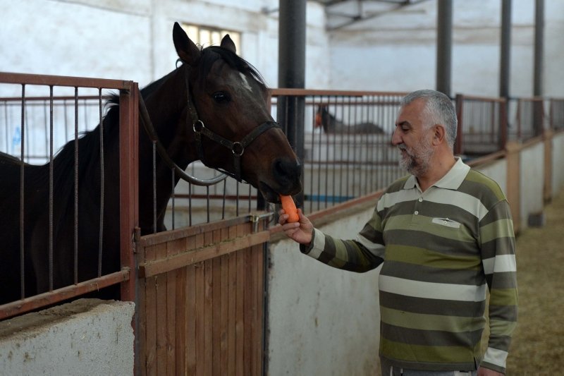 At sevgisiyle kurduğu çiftlikte hipodromlar için şampiyon yetiştiriyor