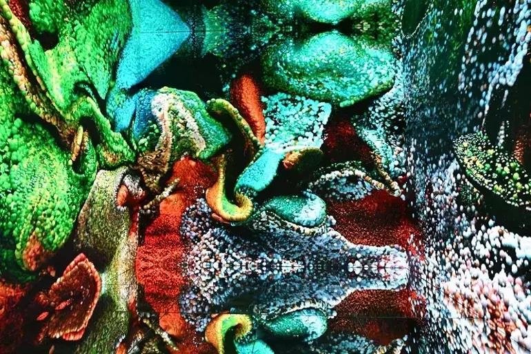 Türk Hava Yolları, Refik Anadol ile Inner Portraiti sundu