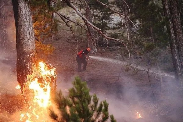 Bakan Yumaklı orman yangınlarıyla ilgili son durumu açıkladı: 6 ilde 7 yangın kontrol altında
