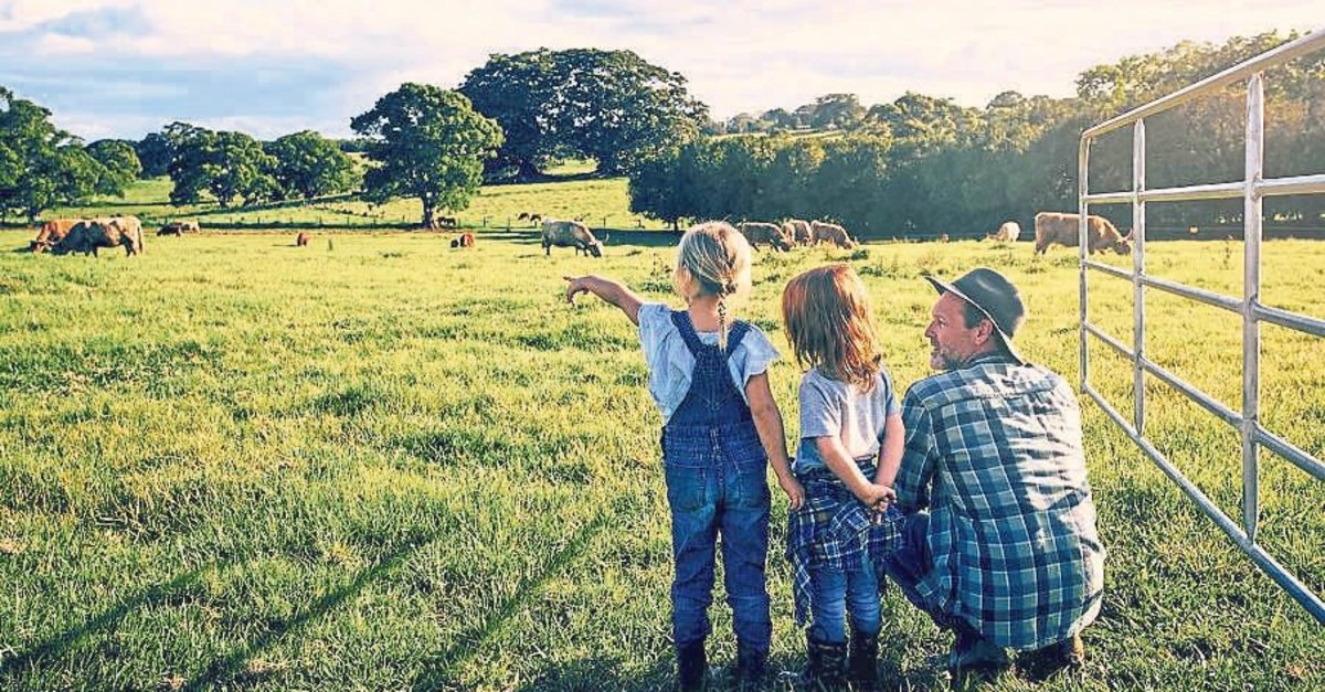 Kırsalda yükselen yatırım: Modern aile çiftlikleri