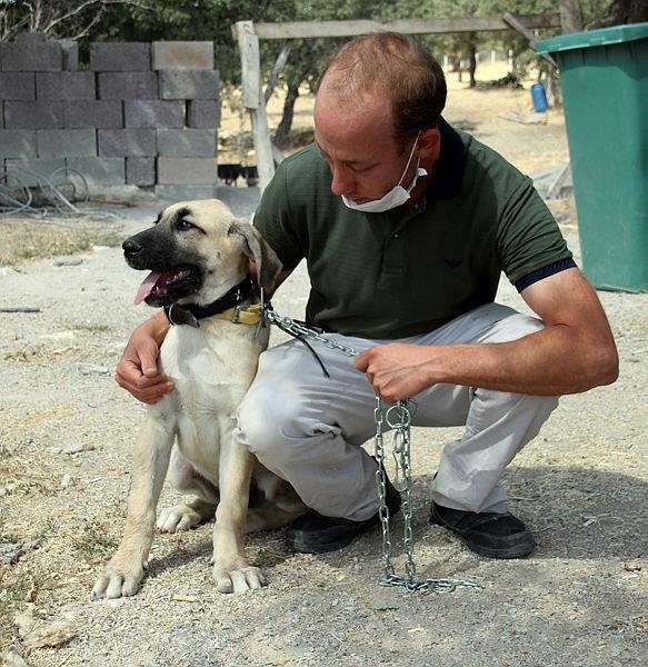 CİMER’den istedi, devlet ayağına getirdi