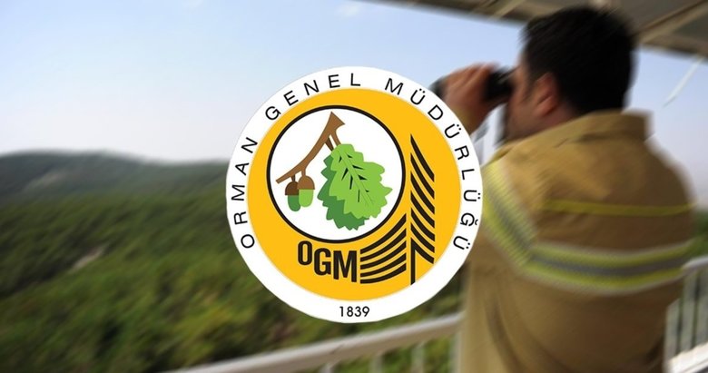 Orman Genel Müdürlüğü İŞKUR personel alımı! Başvuru şartları nelerdir?