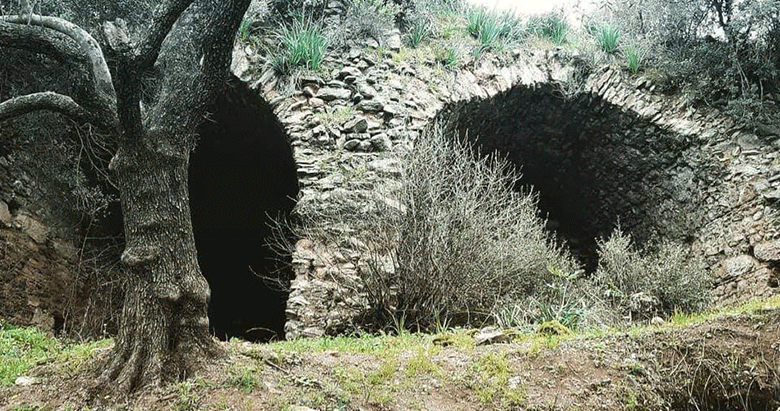 Mastaura Antik Kenti gün yüzüne çıkıyor