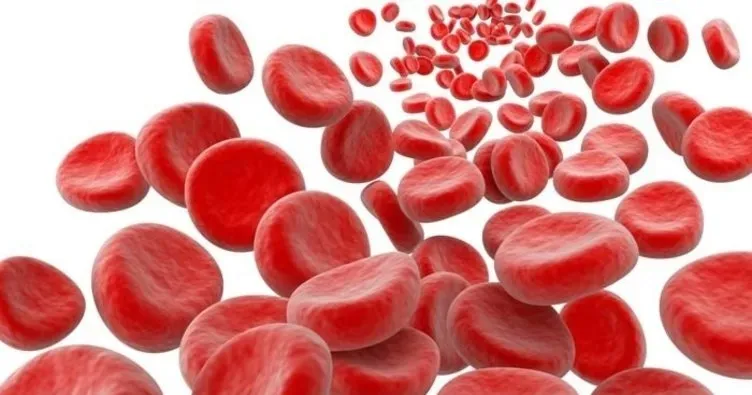 ferritin-nasil-yukseltilir-demir-eksikligi-neden-olur-demir-eksikligine-ne-iyi-gelir-1791962207424.png