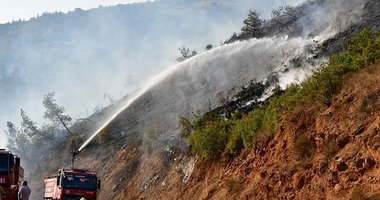 Balıkesir’de orman yangını!