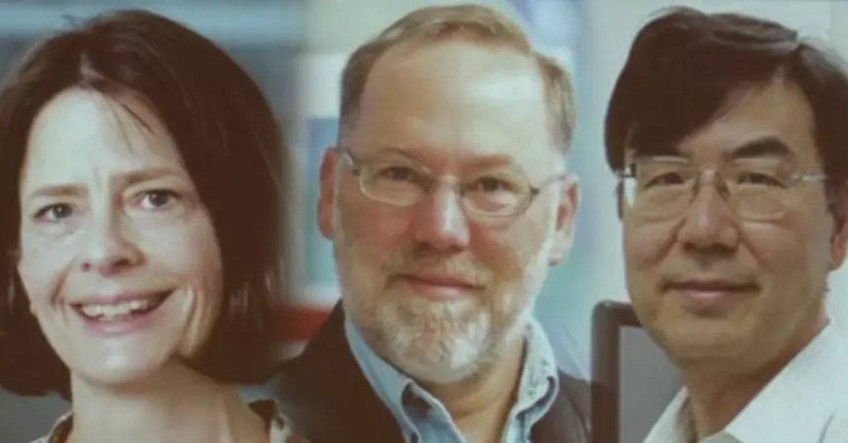 2025 Nobel Tıp Ödülü'nün sahibi belli oldu