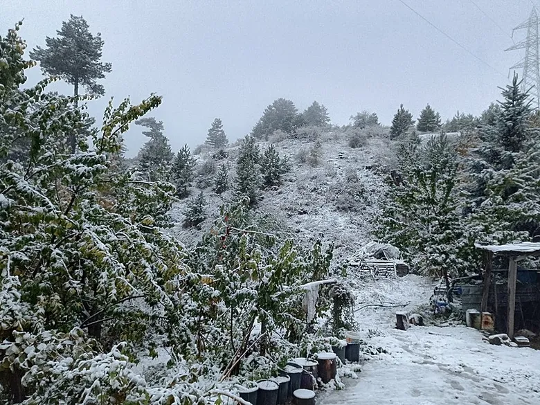 manisaya-mevsimin-ilk-kari-yagdi-1792301570450.jpeg