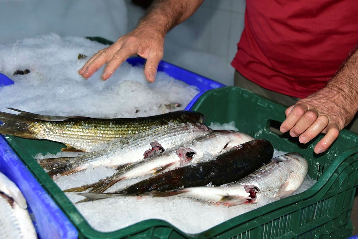 dalyan kefaline dubai den talep geldi