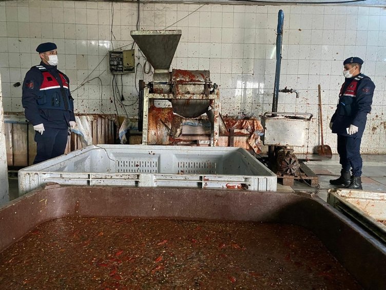 Yılbaşı öncesi aman dikkat! O gıdalar ölüme götürüyor!