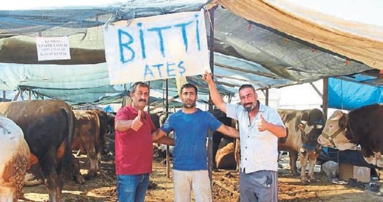 İzmir’de kurbanlıkların büyük çoğunluğu satıldı