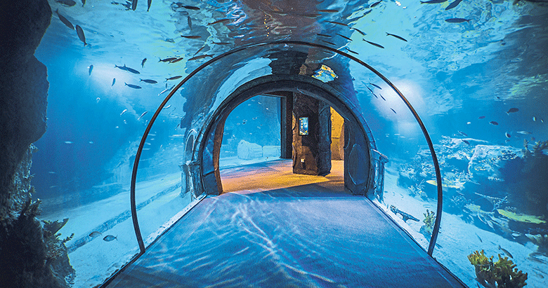 Antalya Aquarium Takdir Kampanyasi 2020 Antalya Akvaryum Antalya Aquarium Tunel Akvaryum