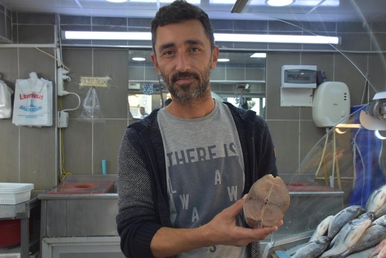 İzmir’de balıkçılar uyardı! ’Palamut’ diye tombik satıyorlar
