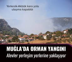 Muğla’daki yangın yolu kapattı