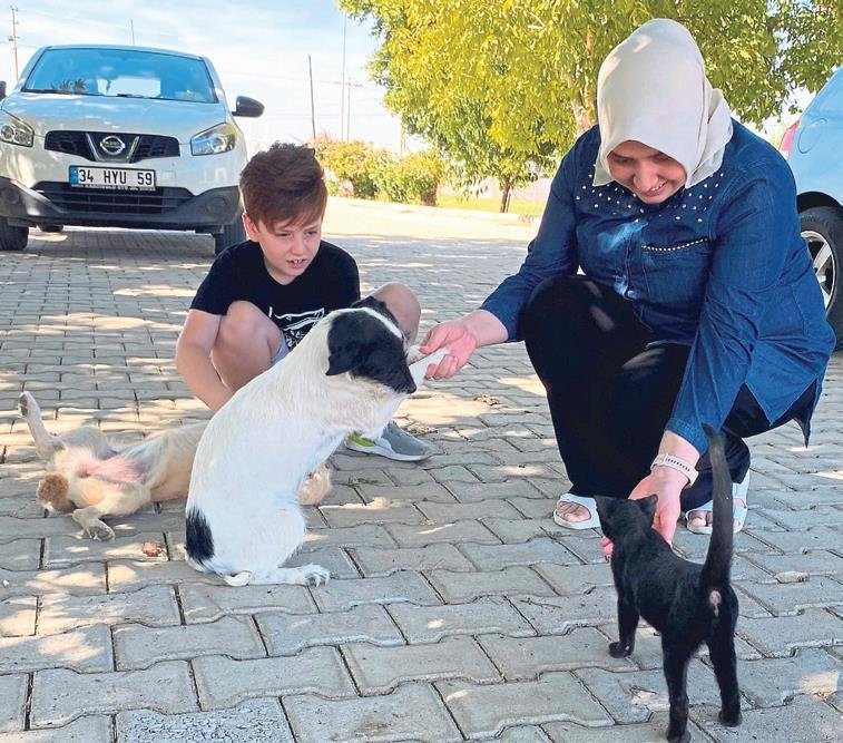 Kedi ve köpeğin inanılmaz dostluğu