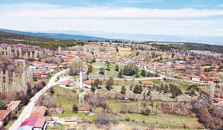 Hüzünlü yolculuğun en narin misafiri: Ters lale