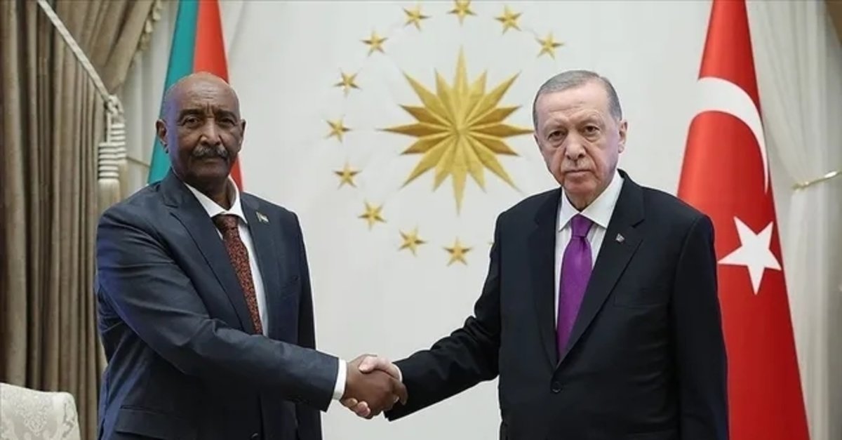 Sudan'dan Türkiye'ye övgü
