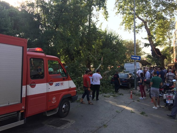 İzmir’de Tire’de ortadan ayrılan ağaç otomobilin üzerine devrildi