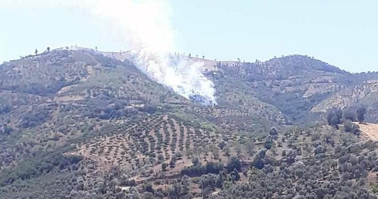 son dakika izmir de 2 farkli noktada orman yangini izmir haberleri