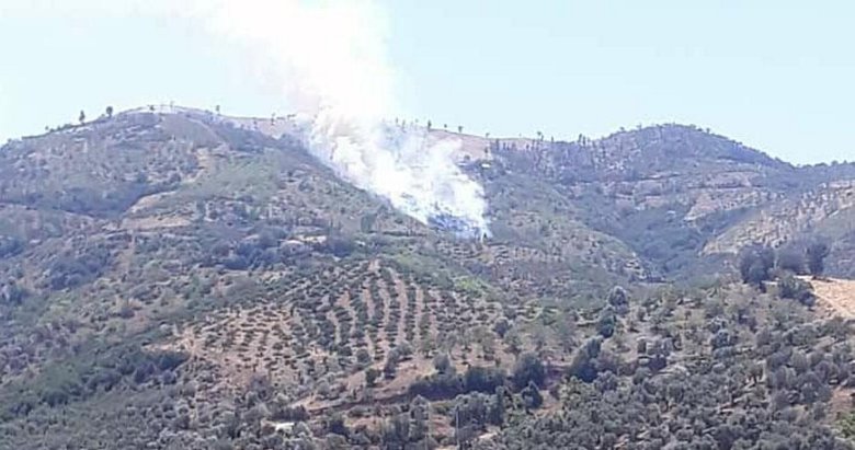Son dakika: İzmir’de 2 farklı noktada orman yangını