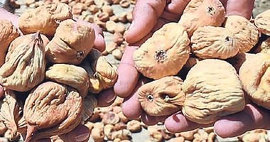 İncire sürdürülebilirlik ödülü