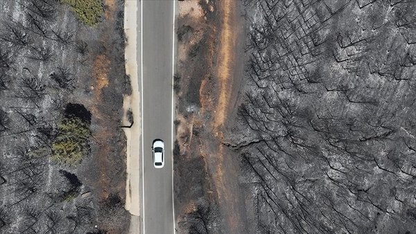 AFAD’dan, İzmir’deki orman yangınları sonrası yapılan çalışmalara ilişkin paylaşım