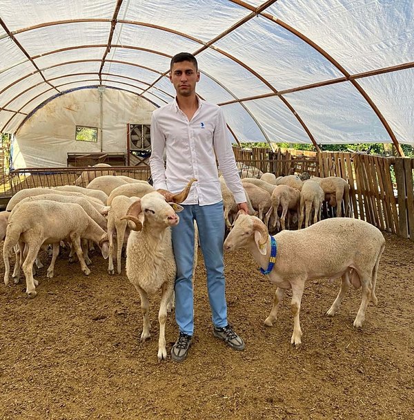 Yüksek kar vaadiyle hayvan toplayıp besicileri dolandırdı