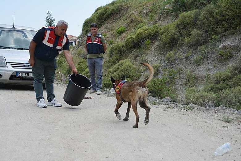 Orman temizliğinde çöplerin arasından çıkanlar ’pes’ dedirtti