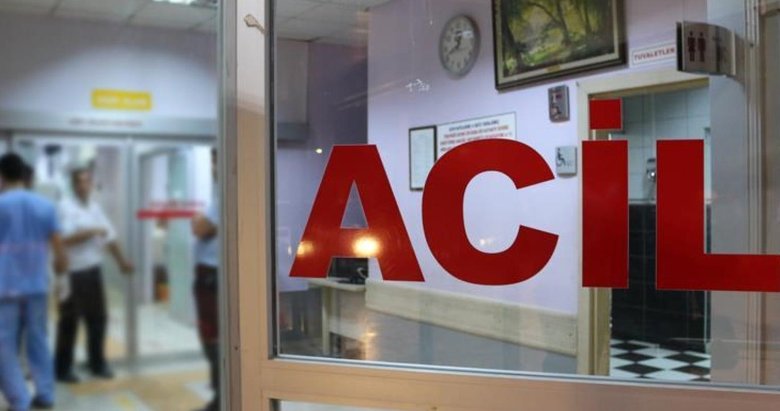 Aydın’da zeytin toplarken elektrik akımına kapılan kişi öldü