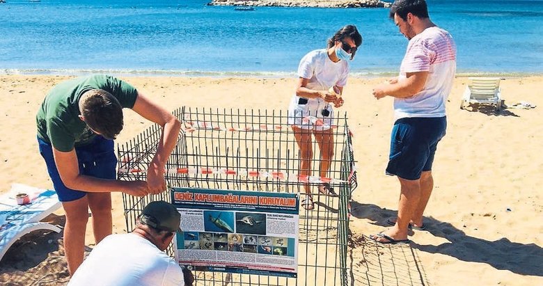 Aydın sahillerinin yeni misafirleri