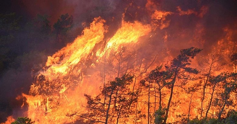 Muğla’da orman yangınlarının yüzde 59’u insan kaynaklı
