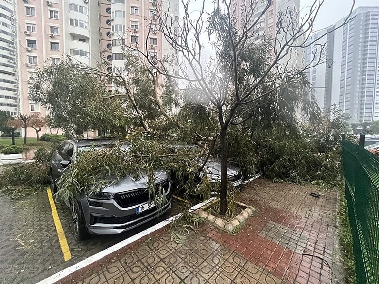 izmirde-firtina-agaclari-devirdi-yoldaki-araclar-buyuk-hasar-aldi-1767861693411.jpeg