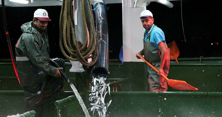 Çanakkale’de, yeni sezonun ilk gecesi 25 ton sardalya avlandı