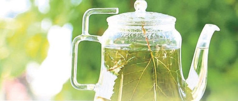 Diş ağrısına zeytin kompresi