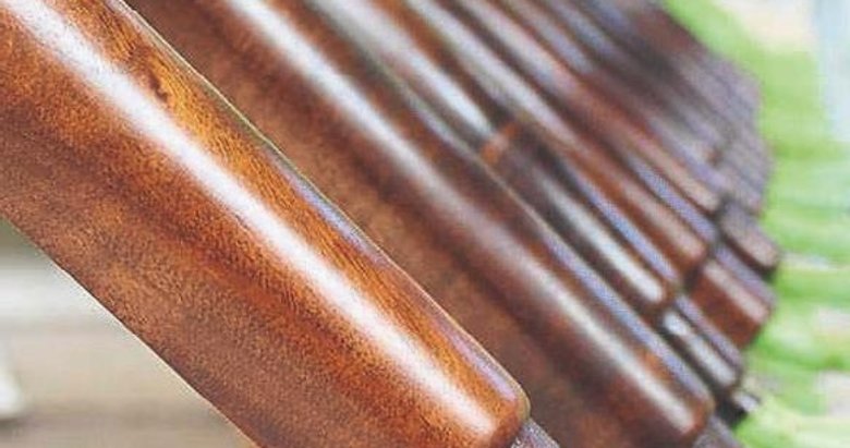 Dipçik üretiminde dünya ile yarışıyor