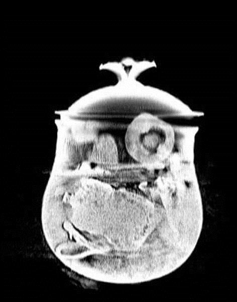 Kırşehir’de Vikinglere ait bin 200 yıllık Tanrı Odin heykeli bulundu