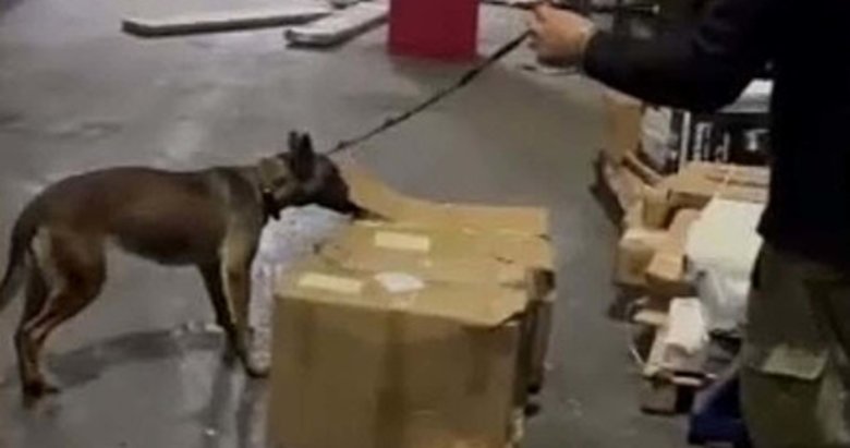 Kargo paketinde 15 kg uyuşturucu yakalandı