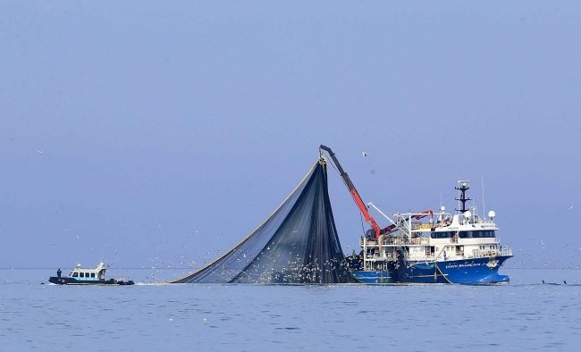 İzmir’de halat çözen balıkçılar av için mavi sulara açıldı