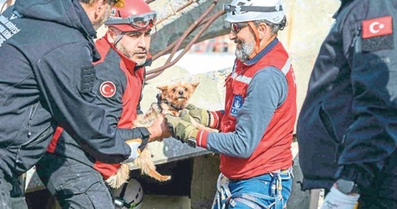 İzmir’de can dostlar için özel eğitim verildi