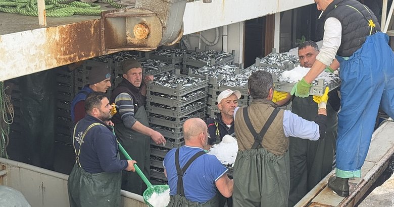 Marmara’da hamsi bereketi; tekneler limana dolu dönüyor