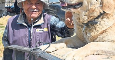 Köpek Betty, Abdullah dedenin yoldaşı oldu