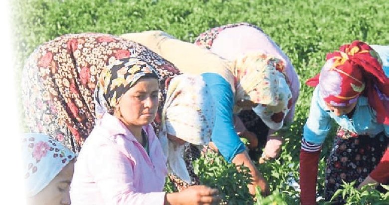 Çiftçi gücüyle yükselen Türkiye