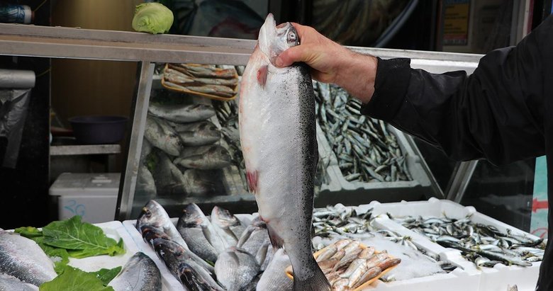 Türk somonu ihracatı artıyor