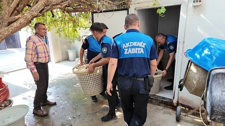 vatandasi-zehirleyeceklerdi-gazete-kagidiyla-pisirilen-200-kilo-bozuk-midye-imha-edildi-1786020661542.jpeg