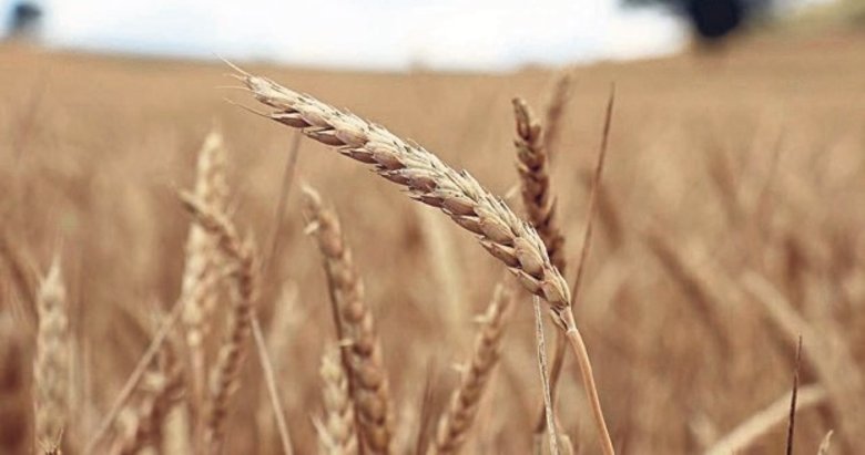 Tarımsal üretim kredilerinde limitler yeniden belirlendi